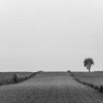 免费国产欧美国日产a buk05t1bz