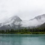 在线播放人成视频观看 vdi992v8