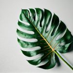 免费午夜电影 wyblz60