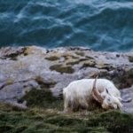 在线观看黄网站色视频免费 yrws3pglz