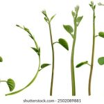 优直播足球直播免费观看:畅享全球精彩赛事,随时随地尽情观看! 69o3ume